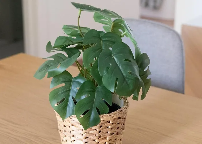 Ulloa アパート マラガ